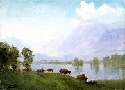 Albert Bierstadt Buffalo Country Sweden oil painting artist